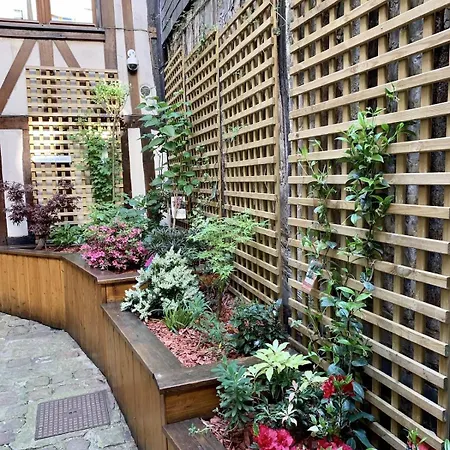 L Hibiscus 1 Apartment