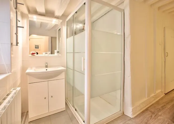 L Hibiscus 1 Ρουέν