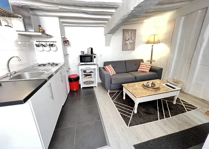 L Hibiscus 1 Ρουέν