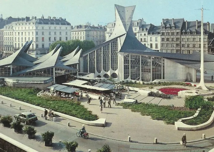 L Hibiscus 1 Ρουέν