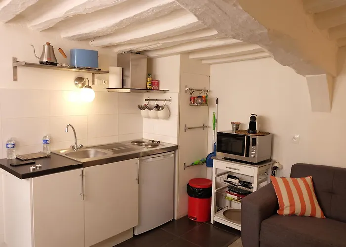 L Hibiscus 1 Ρουέν